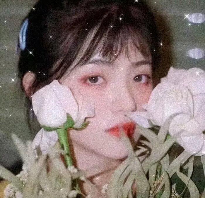 小小便骑士